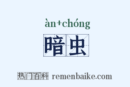 暗虫是什么意思的图片